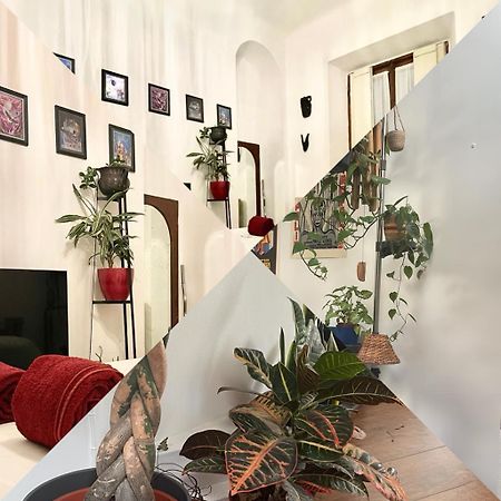 Ferienwohnung La Stanza Della Giungla Mailand Exterior foto